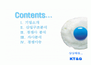 KT & G 글로벌 경쟁전략 2페이지