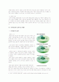 아내, 다 잡은 물고기인가. - 부부강간의 문제점에 대한 조사, 연구와 해결방안 모색 6페이지