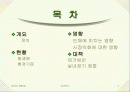 미세먼지 2페이지