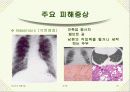 미세먼지 20페이지