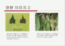 SO2(이산화황) 31페이지