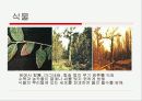 SO2(이산화황) 39페이지