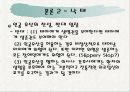 생명 윤리의 한계 7페이지