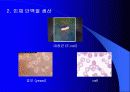 바이오의약품의 생산 4페이지