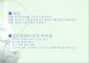 프리젠테이션 자료제작 5페이지