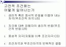 학습에 대한 행동주의적 접근 5페이지