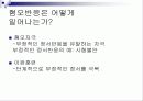 학습에 대한 행동주의적 접근 10페이지
