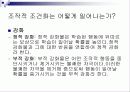 학습에 대한 행동주의적 접근 16페이지