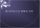  웜 바이러스의 현황과 전망 1페이지