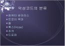  웜 바이러스의 현황과 전망 4페이지