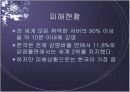  웜 바이러스의 현황과 전망 10페이지
