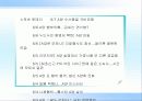 스포츠신문 24페이지