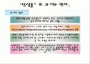 B2C Communications (인터넷 쇼핑몰을 중심으로 알아본..) 8페이지