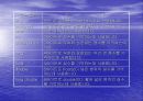 C언어 개요 17페이지