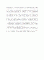 불멸의 이순신, 그의 또 다른 평가 4페이지