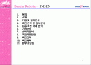 베스킨라빈스 성공 전략-광고전략을 중심으로 2페이지