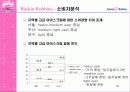 베스킨라빈스 성공 전략-광고전략을 중심으로 48페이지