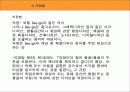 디자인 관련 법규 13페이지