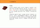 디자인 관련 법규 15페이지
