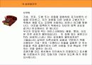 디자인 관련 법규 19페이지