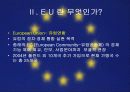 EU의 대외무역 관리방안 4페이지