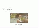 나노 응용 사례 25페이지