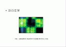 나노의 용어 활용 응용분야 21페이지