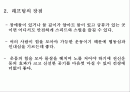 래프팅[Rafting]에 관한 조사 2페이지