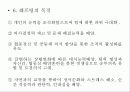 래프팅[Rafting]에 관한 조사 11페이지