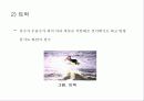 수상스키 11페이지