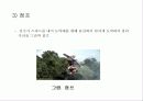 수상스키 12페이지