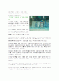 이동통신단말기범죄의 실태분석과 대응방안 17페이지