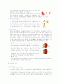 당뇨병(Diabetes mellitus) DM 인슐린 요법 5페이지