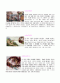 미켈란젤로 5페이지