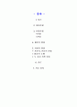 mp3에 관한 문화적 분석 2페이지