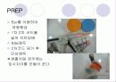 보철에 관한 정리 8페이지