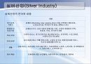 노인복지(프리젠테이션자료) 13페이지