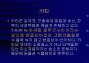 키틴 키토산에 대해서 3페이지