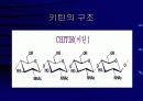 키틴 키토산에 대해서 5페이지
