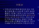 키틴 키토산에 대해서 7페이지