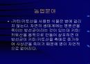 키틴 키토산에 대해서 33페이지