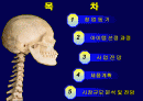 창업 아이템- 간판청소 2페이지