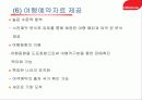 아바쿠스 시스템과 토파스 비교분석 25페이지