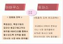 아바쿠스 시스템과 토파스 비교분석 29페이지