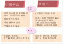 아바쿠스 시스템과 토파스 비교분석 30페이지
