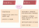 아바쿠스 시스템과 토파스 비교분석 32페이지