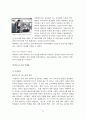 락앤락의 성공 마케팅(국제경영) 31페이지