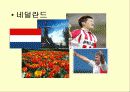 [물류산업]국제물류의 정의 및 기능 13페이지