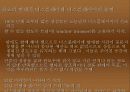 디스플레이(의미와 발달) 8페이지