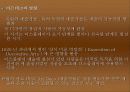 디스플레이(의미와 발달) 12페이지